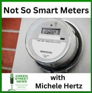 Not So Smart Meters