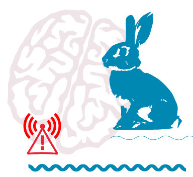 ElektrosmogReport - Issue March 2025 (English)
Technical information on the significance of electromagnetic fields for the environment and health.