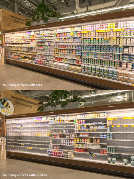 Your dairy choices with or without bees