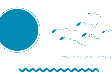 EMFdata-ElectrosmogReport-issue-03-2025

Technical information on the significance of electromagnetic f ields for the environment and health.
