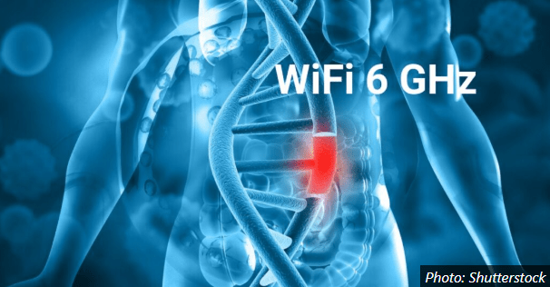 Swedish Radiation Protection Foundation - WiFi 6 GHz causes DNA damage