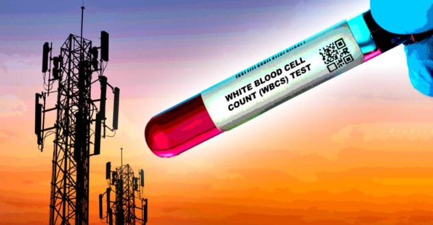 Living near a cell tower was associated with elevated levels of white blood cells 
